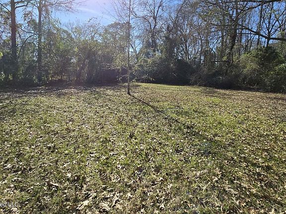 5th image of 105 Scotland Cir