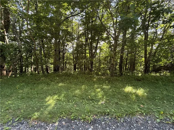TBD Pinnacle Drive, West Jefferson, NC 28694