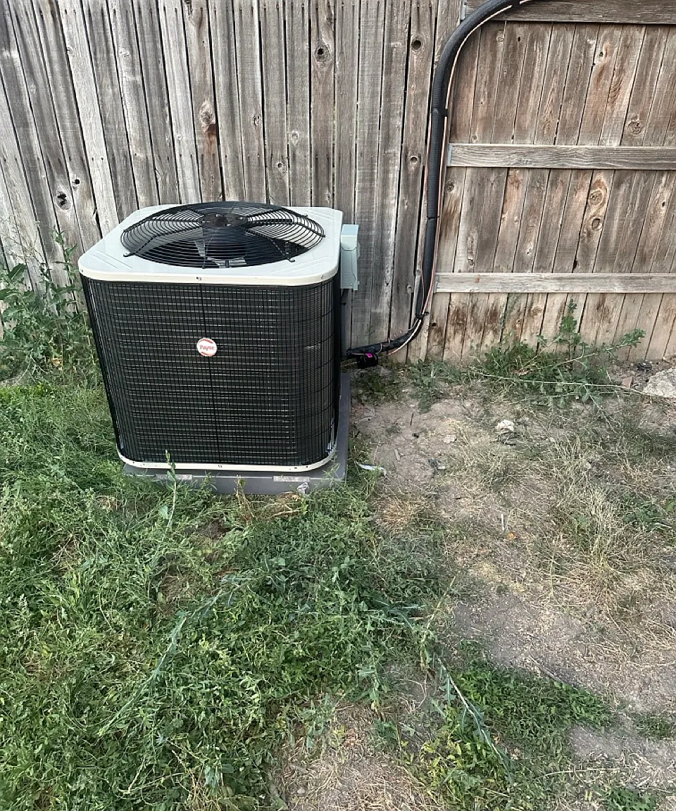 5 bed, 1350 sqft, $2,500 — Photo 3