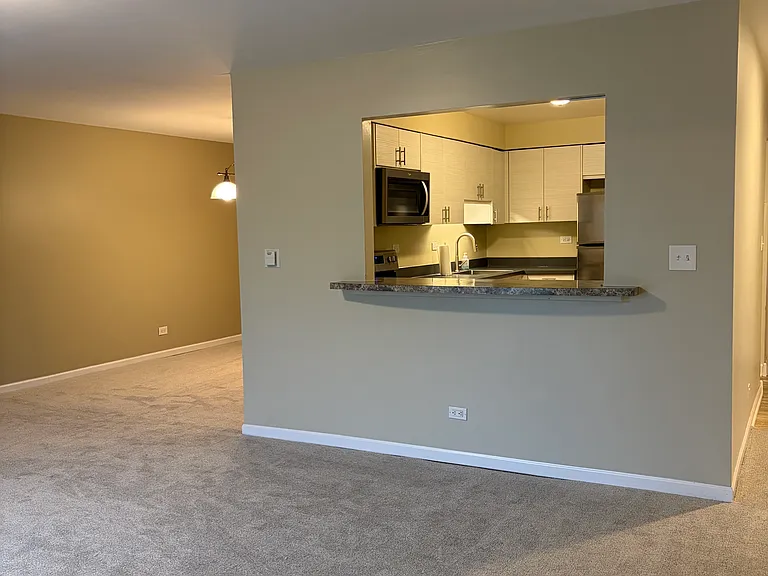 711 E Falcon Dr #201 — Photo 12