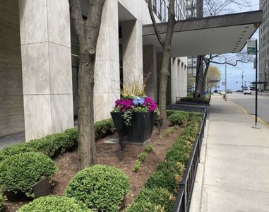 260 E Chestnut St APT 3701, Chicago, IL, 60611