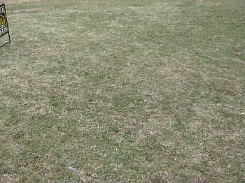 2nd image of 83 Sanders Rd