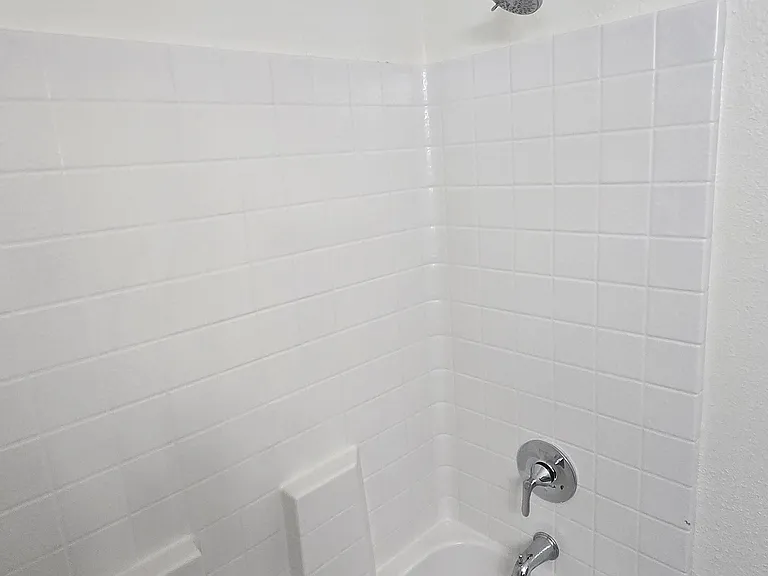 Hall Bathroom Shower/Tub Combo