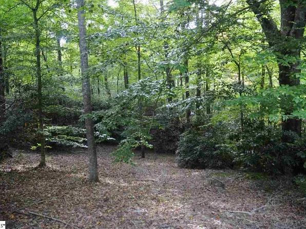 100 Fern Springs Way, Travelers Rest, SC 29690