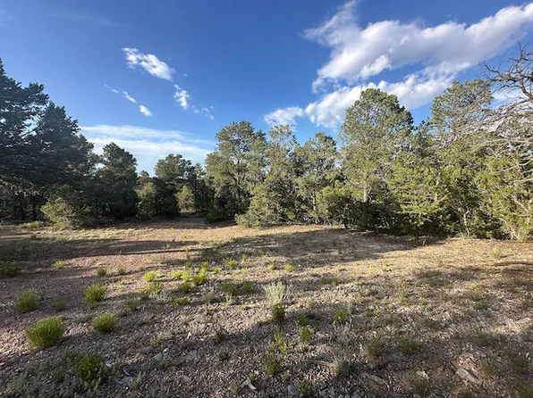 1 Tomcat Cir, Tijeras, NM 87059