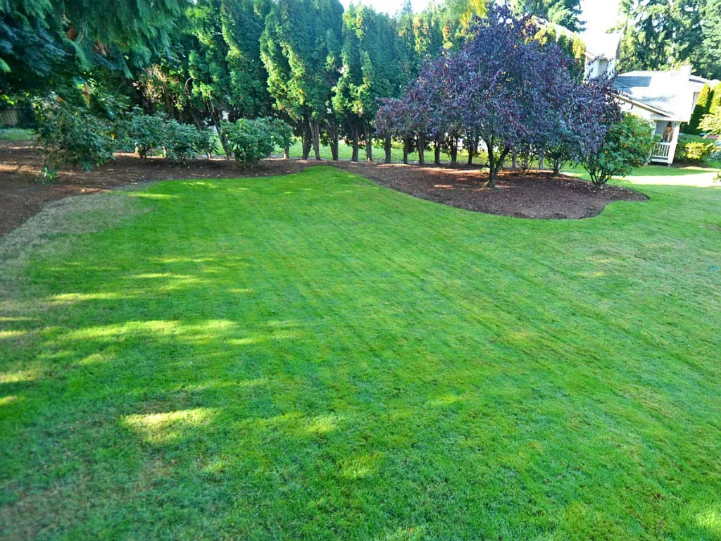 3 bed, 1350 sqft, $2,875 — Photo 4