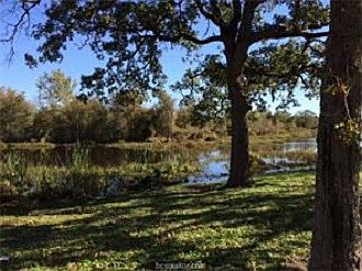 Additional Community Pond