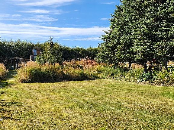 Lawn