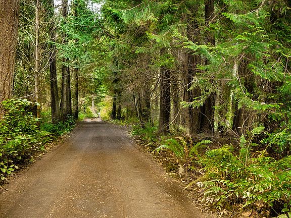 LOT D & C Deerpath Lane