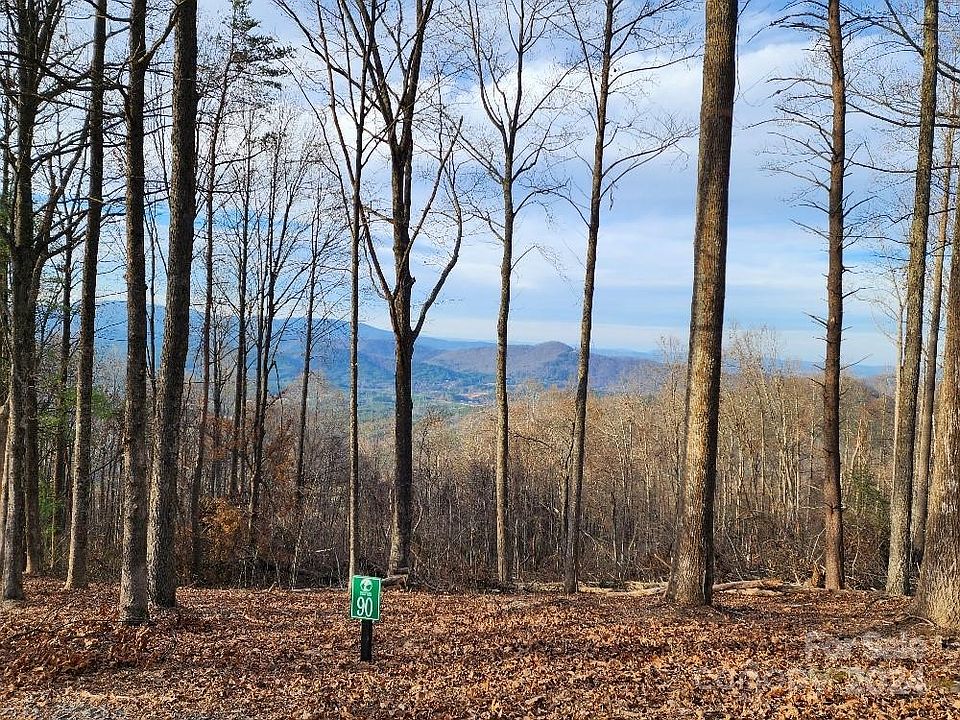 1st image of LOT 90 Wilderness Creek Way