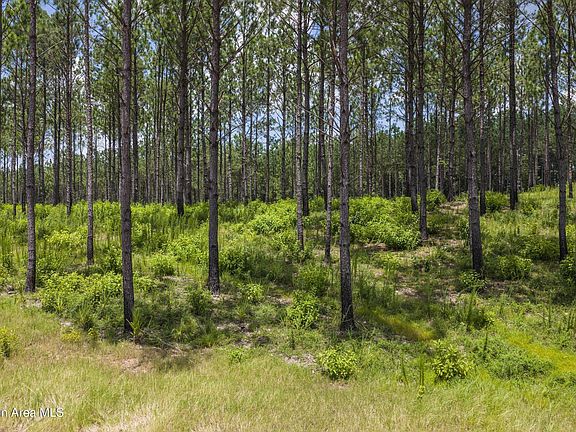 3rd image of 193 Rampart Loop