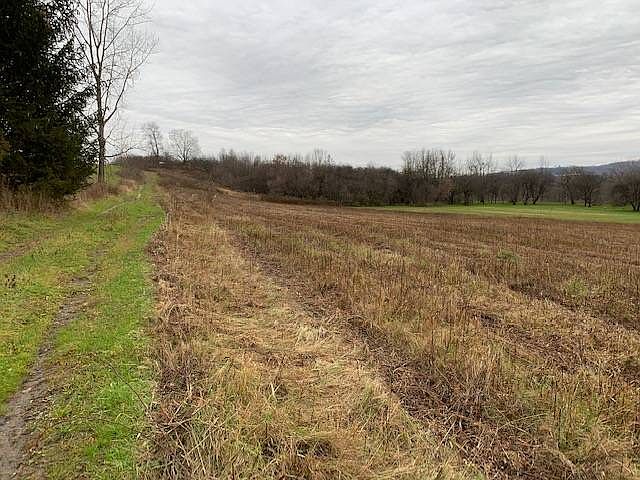 2nd image of Bidleman Rd