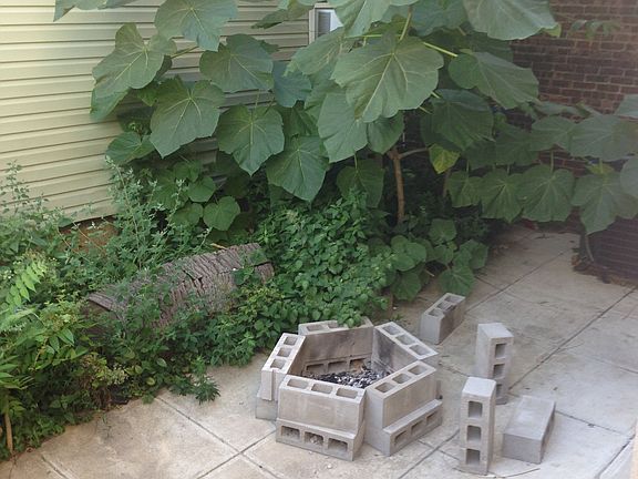 5th image of 708 Bushwick Ave #1ZZ