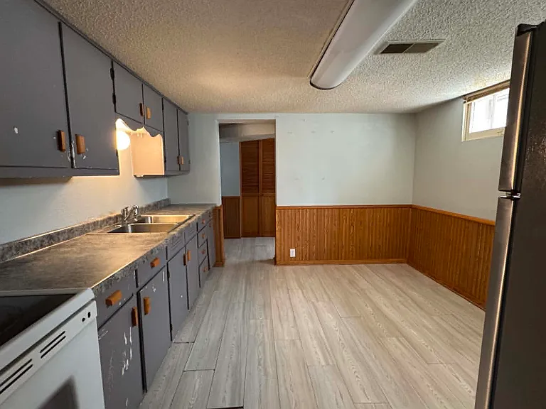 Lower level kitchen and dining