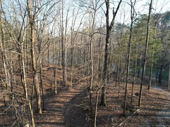 57 Shoreside At Sipsey, Double Springs, AL 35553