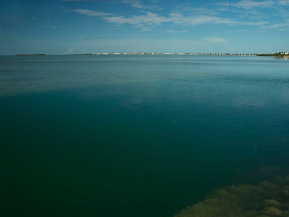4th image of Caribbean Dr Lot 42
