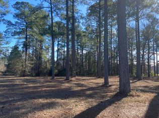 150 Two Lakes Trl, New Bern, NC 28560