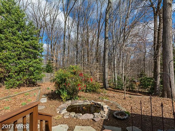 Small pond just off the back deck