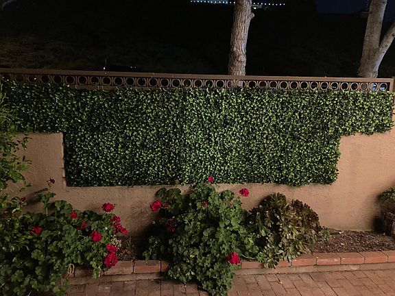 With new green privacy screen