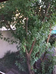 Rented by R New York