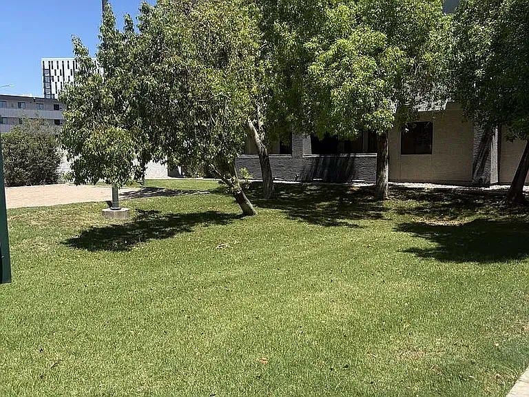 1215 E Lemon St #205 — Photo 16