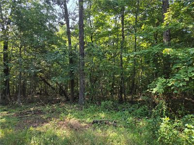 Pamela Ln #4, Bella Vista, AR, 72715
