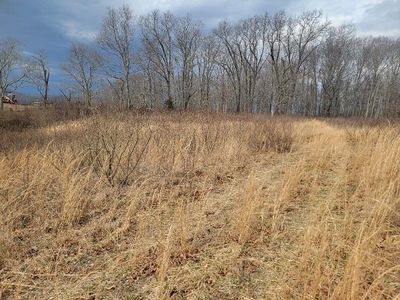 Summer Ln, Max Meadows, VA, 24360