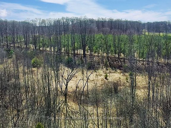 5th image of 180 Bowles Bluff Rd