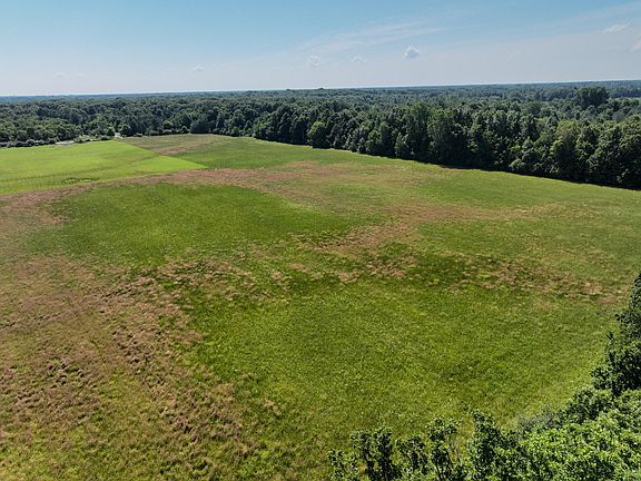 3rd image of Mayer Rd Lot 6