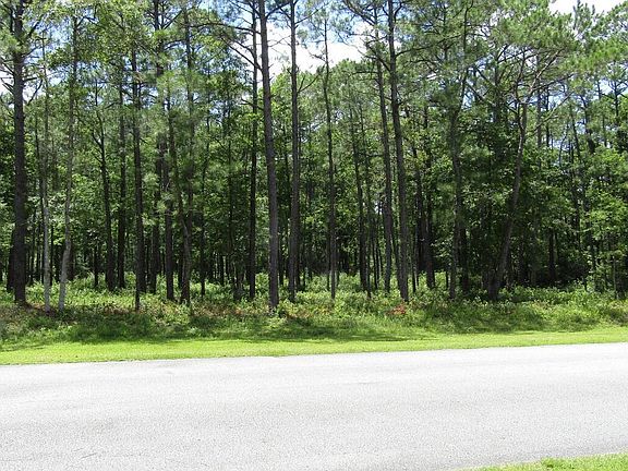 4th image of 66 Pinewood Dr Lot 4