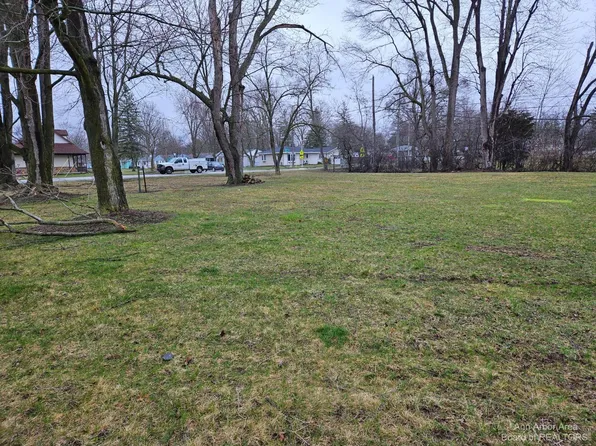 1001 Gene Dr, Chelsea, MI 48118
