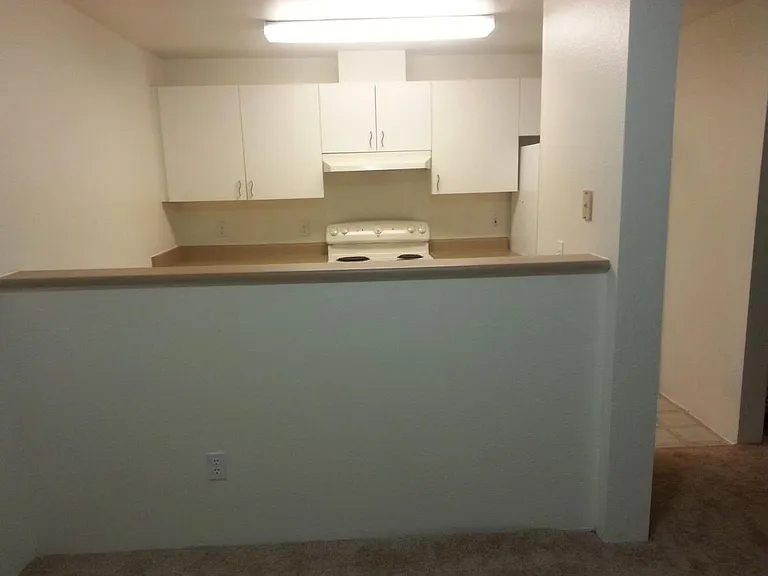 Dining room into Kitchen