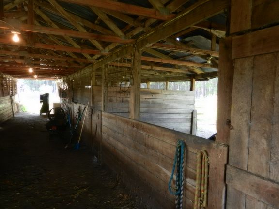 Stalls in Barn