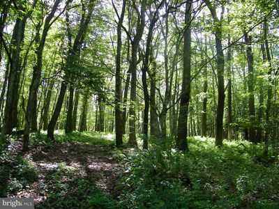 Longview Ln, Oakland, MD, 21550