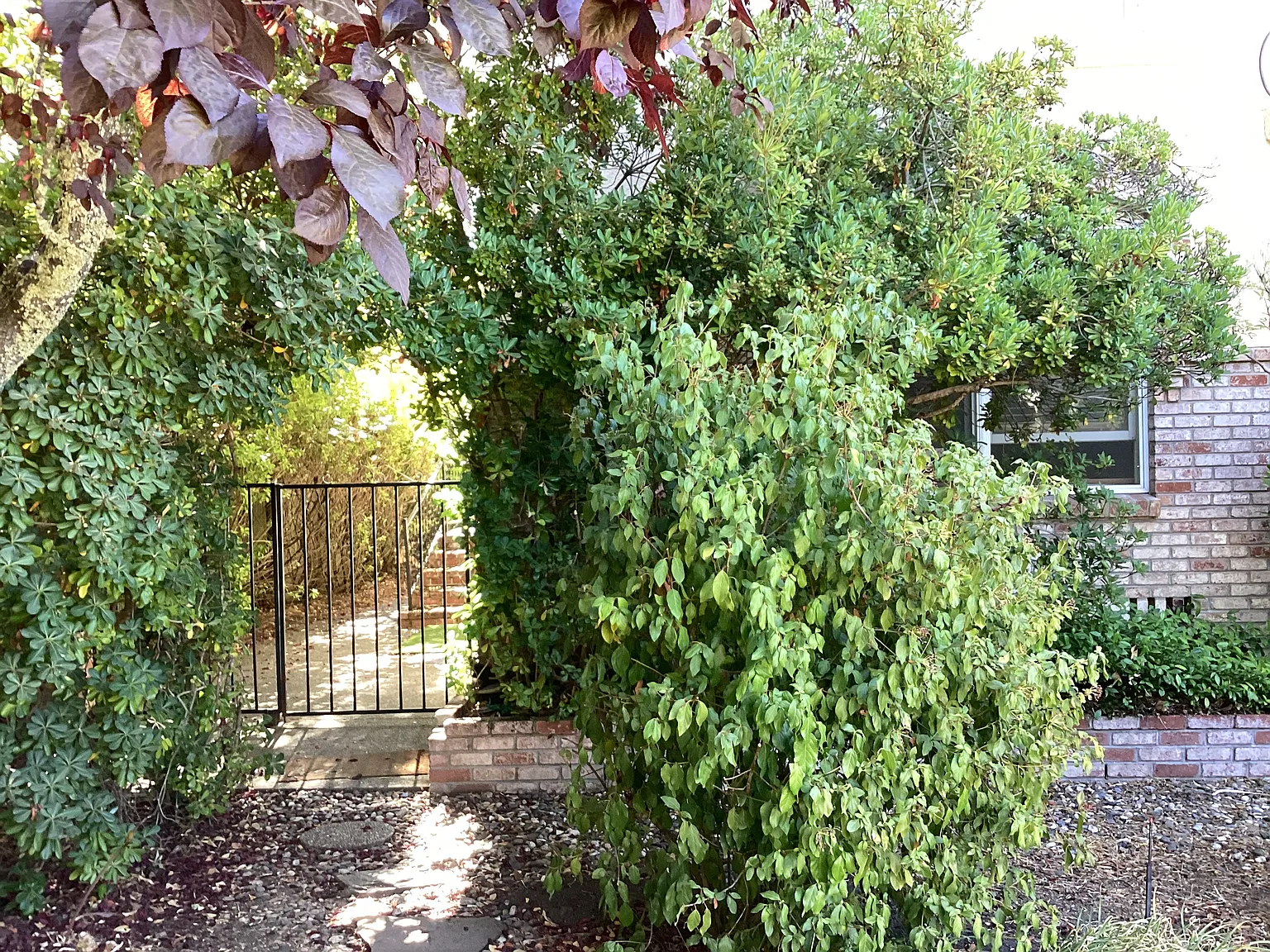 Michael Way, Calistoga — Photo 1