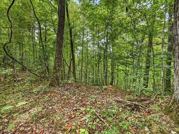0 Timber Ridge Ln Lot 30, Celina, TN 38551