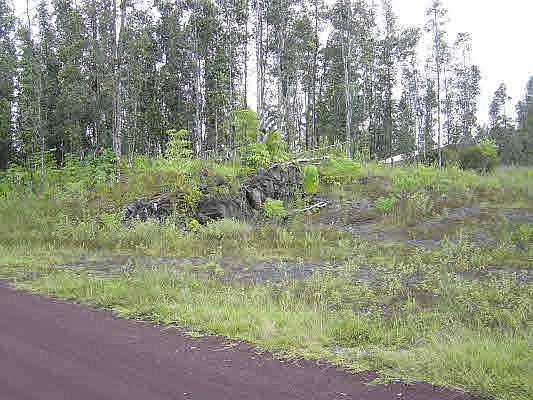 2nd image of 15-1436 9th Ave Lot 1718