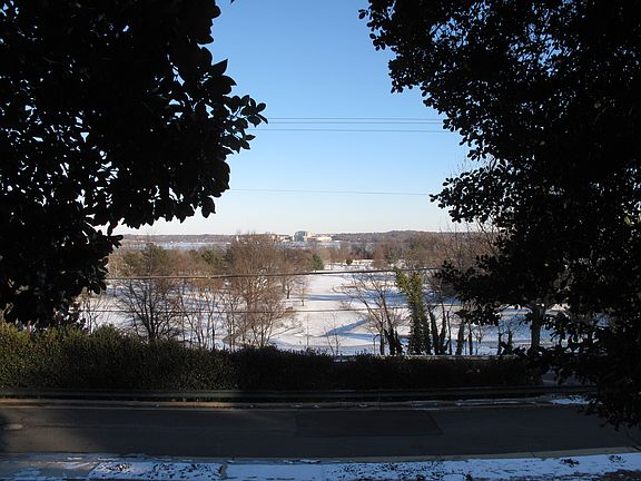 View from Living Room