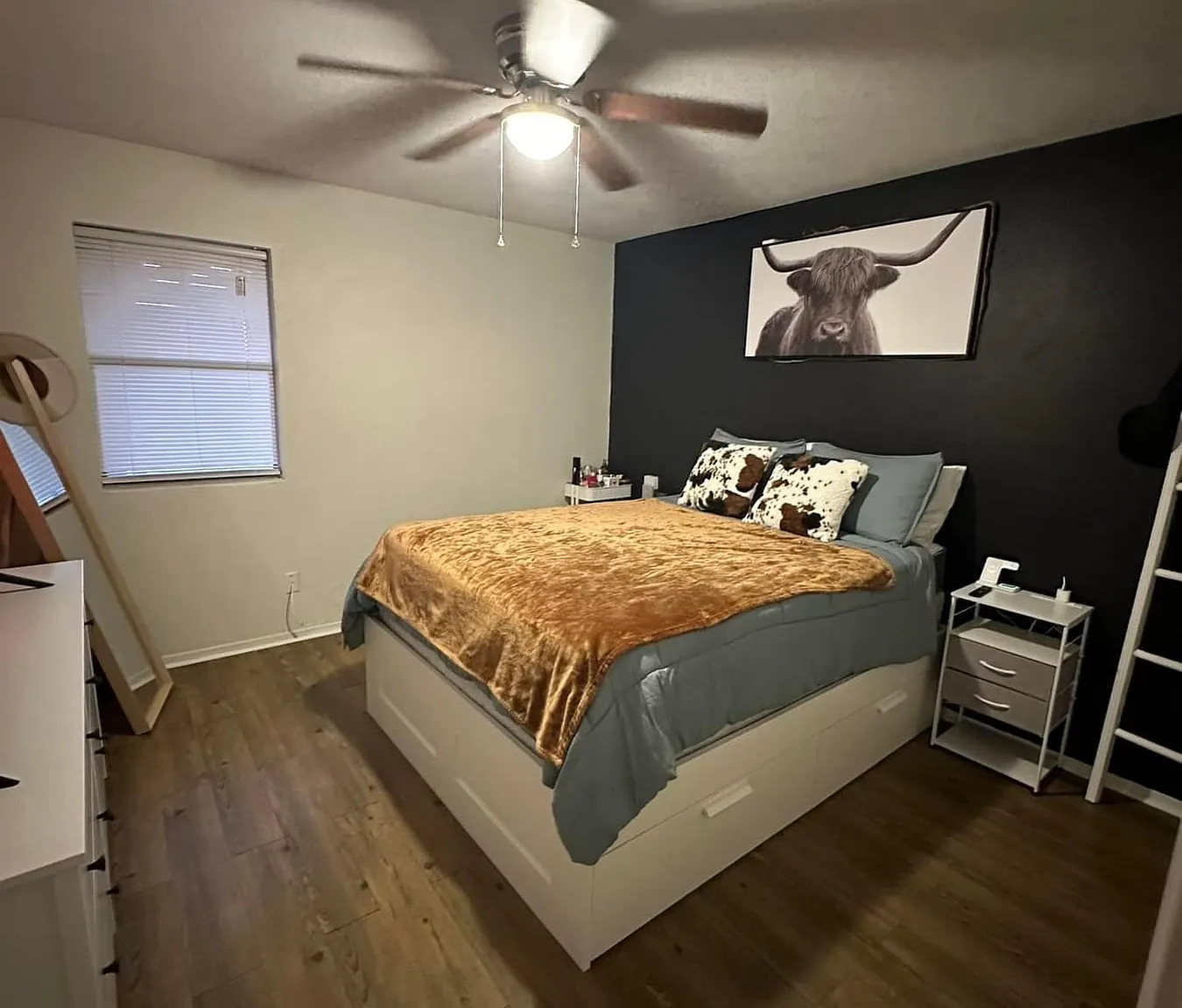 3309 Chisholm Trl — Photo 3