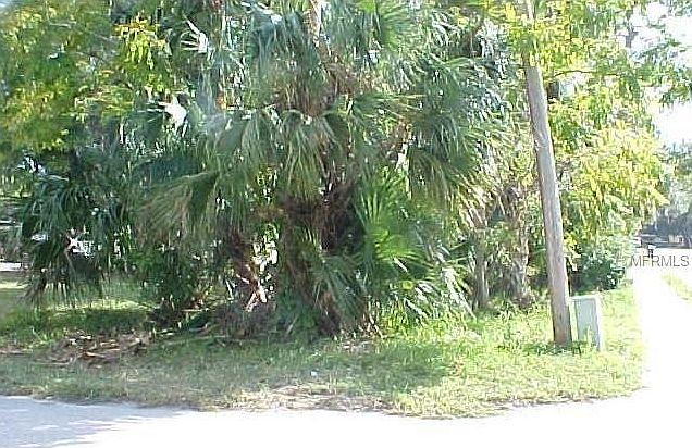 2nd image of E Banana Ave