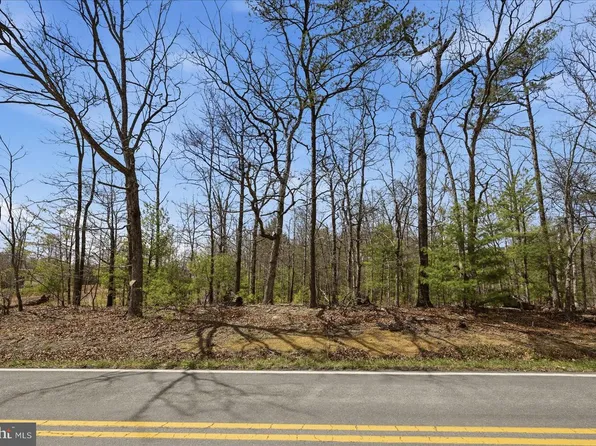 16F Back Mountain Rd, Winchester, VA 22602