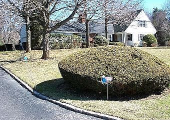 1st image of 20 Locust Ln