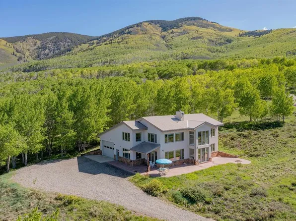 189 Wild Rose Lane, Almont, CO 81210