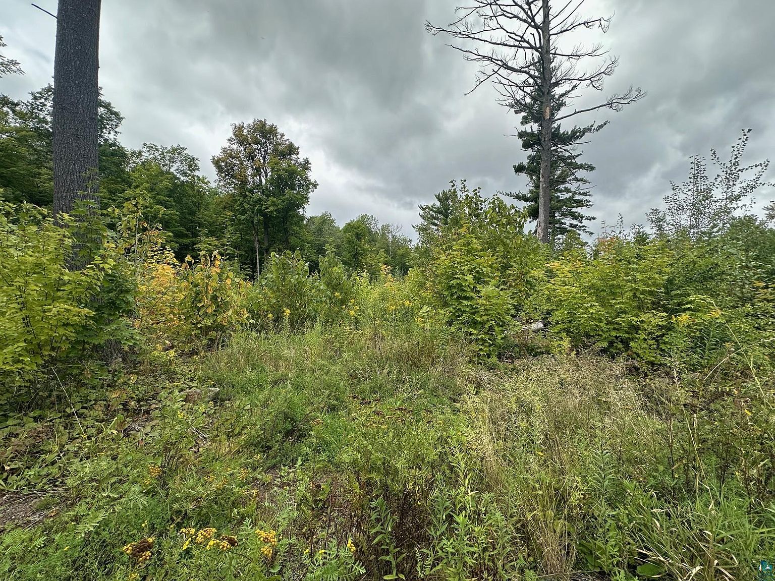 TBD Hwy 45