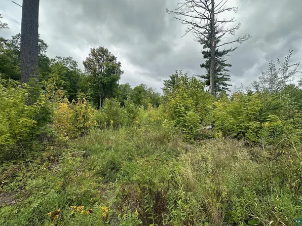 TBD Hwy 45, Cloquet, MN 55720
