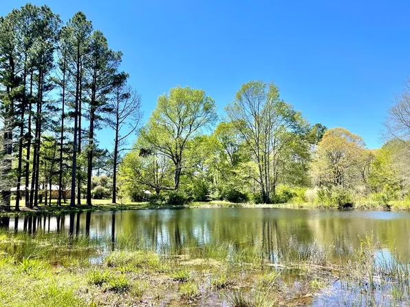 2462 Herrington Ln SE, Ruth, MS 39662