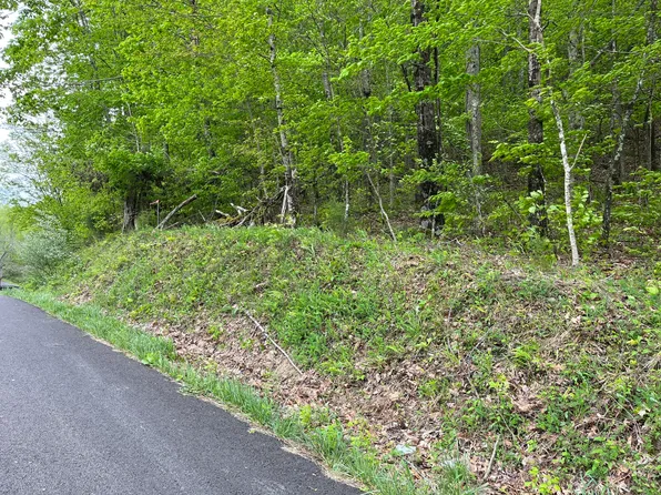 Ivy Valley Rd, Gate City, VA 24251