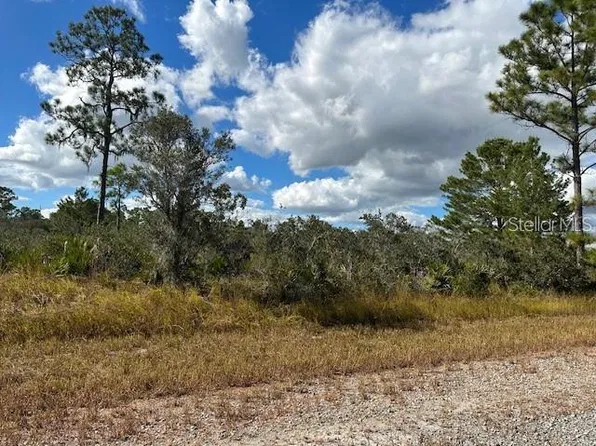 1126 ERWIN STREET LOT 2 3, LAKE PLACID, FL 33852