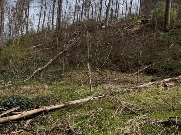 337 Silverbell Ln, Gatlinburg, TN 37738