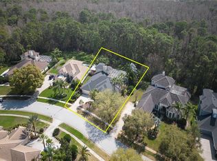 4953 Quill Ct, Palm Harbor, FL 34685